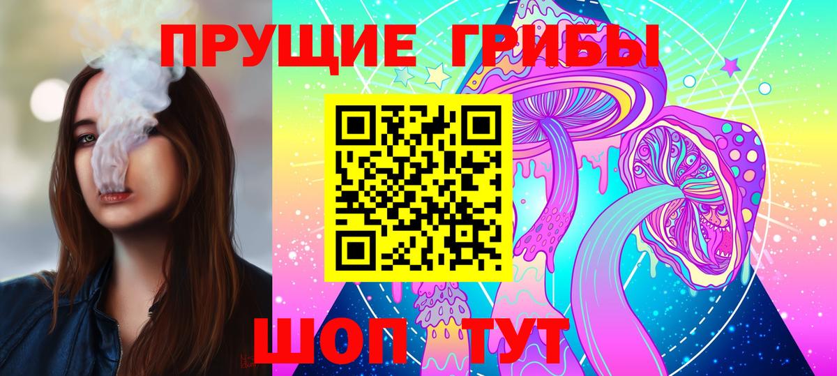 Псилоцибиновые грибы GOLDEN TEACHER Ногинск