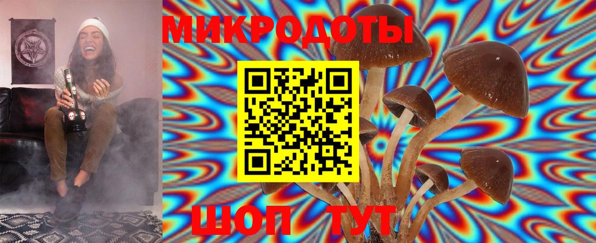 Псилоцибиновые грибы прущие грибы  Вход с VPN  Ногинск  Псилоцибиновые грибы Psilocybine cubensis 
