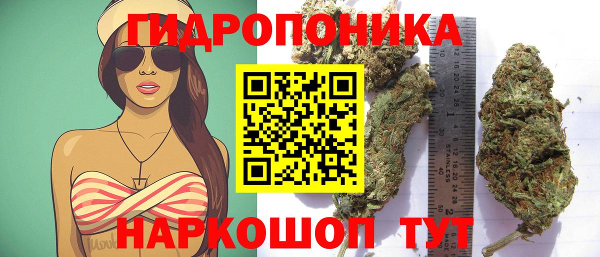 Канабис SATIVA & INDICA  Вход с VPN  Ногинск  Бошки марихуана план  Марихуана ГИДРОПОН 